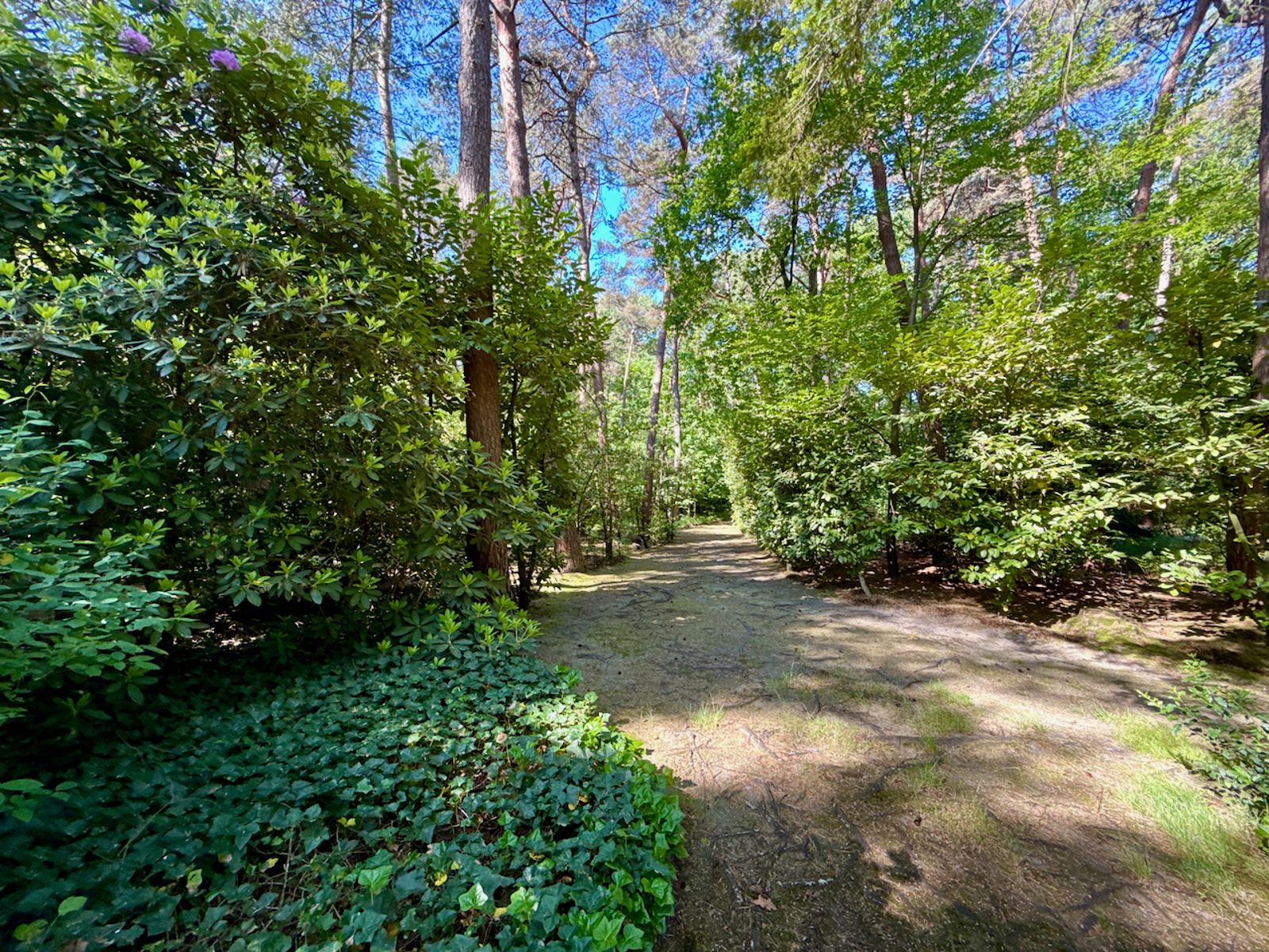 Villa te koop foto 4