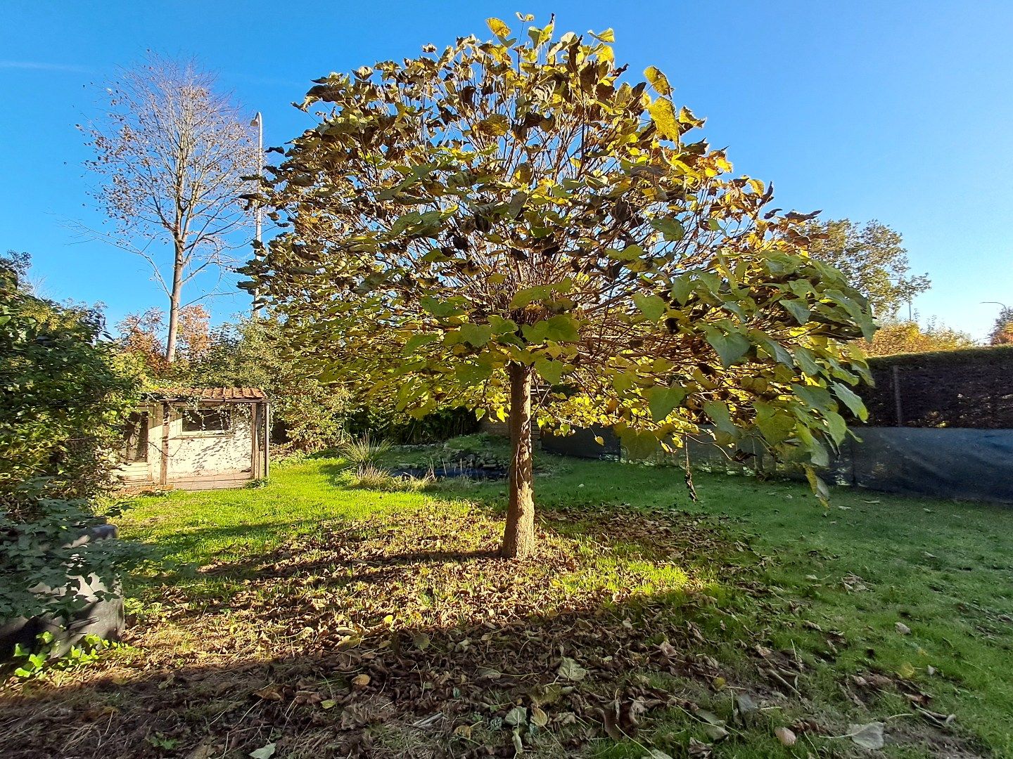 Woning met leuke tuin! foto 22