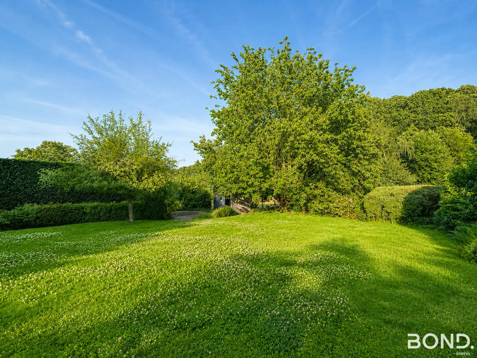 Instapklare en energiezuinige villa op toplocatie foto 3