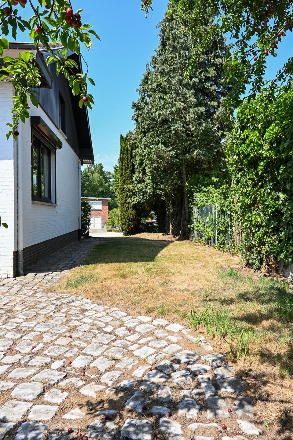 Huis te koop foto 3