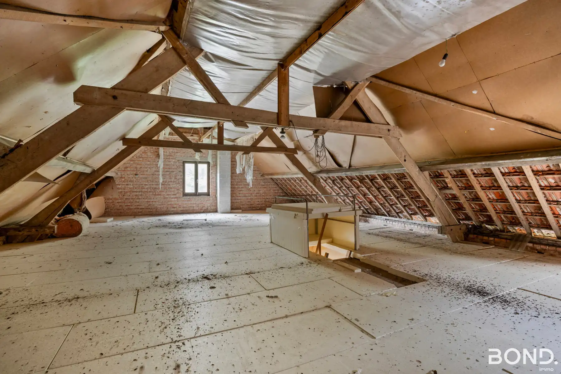 Landgoed op 4,5 ha foto 20