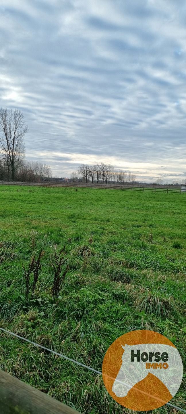 BILZEN-HOESELT - Weide met schuilstal op +/- 83a foto 2