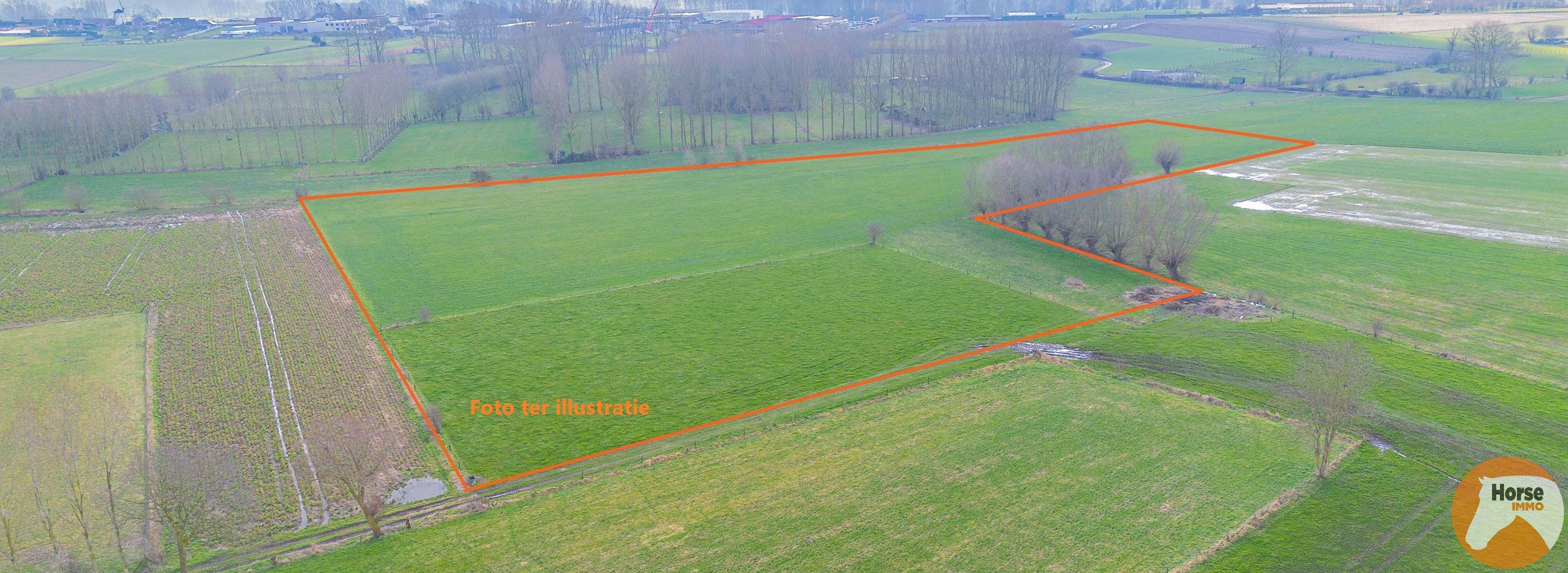 HILLEGEM – Landbouwgronden te koop foto {{pictureIndex}}