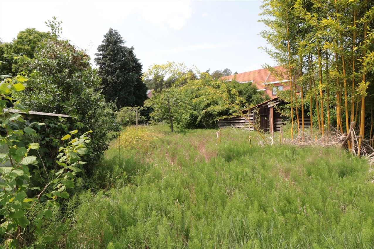 goed gelegen, renovatieproject met potentieel foto 4