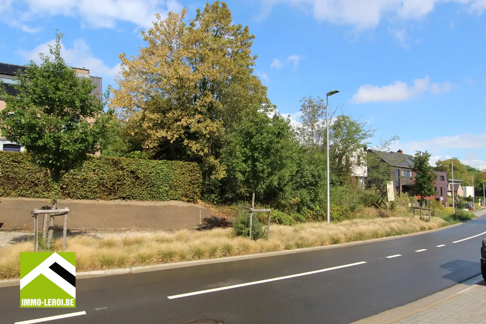 Mooi gelegen bouwperceel met diepe tuin - stadsrand Tongeren foto 3