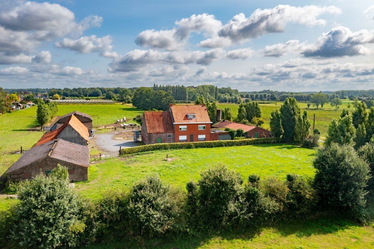 Hoevetje te koop op 1 ha te Zedelgem nabij dorpskern Veldegem foto 4