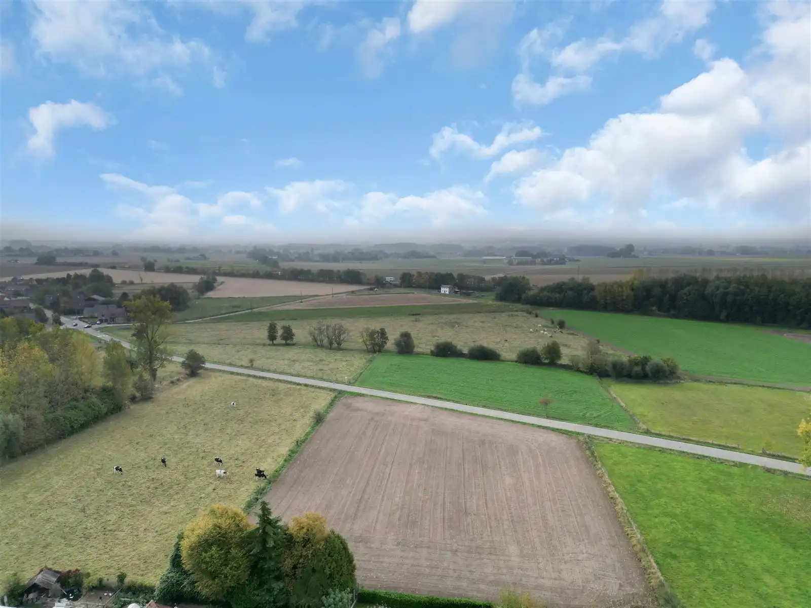 TE KOOP – Bouwgrond in Bois-de-Lessines! foto 4