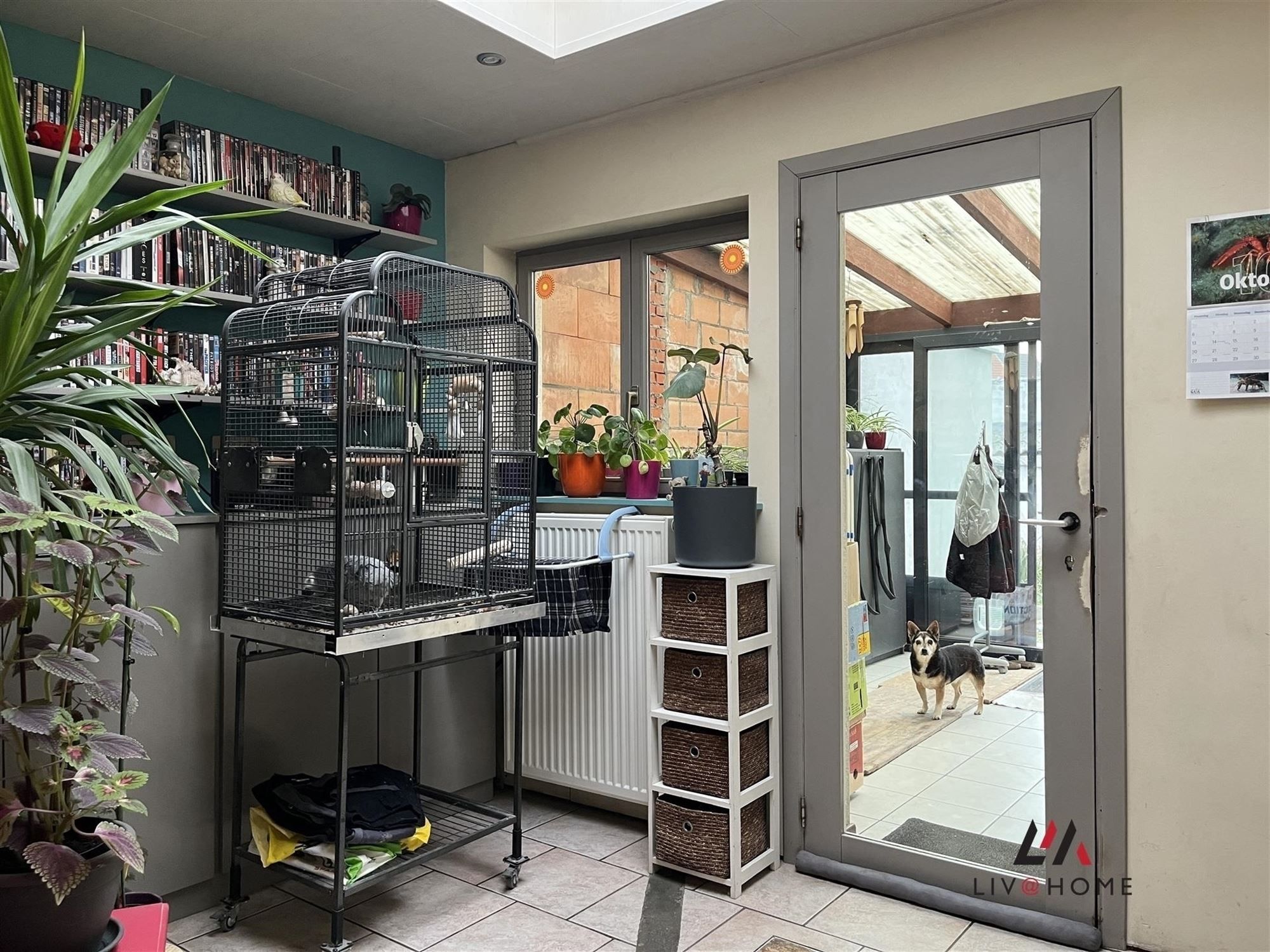 2 aangrenzende rijwoningen met gemeenschappelijke tuin foto 12