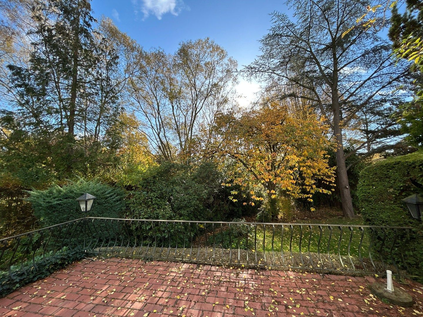 Ruime villa op 1,15 ha  foto 4