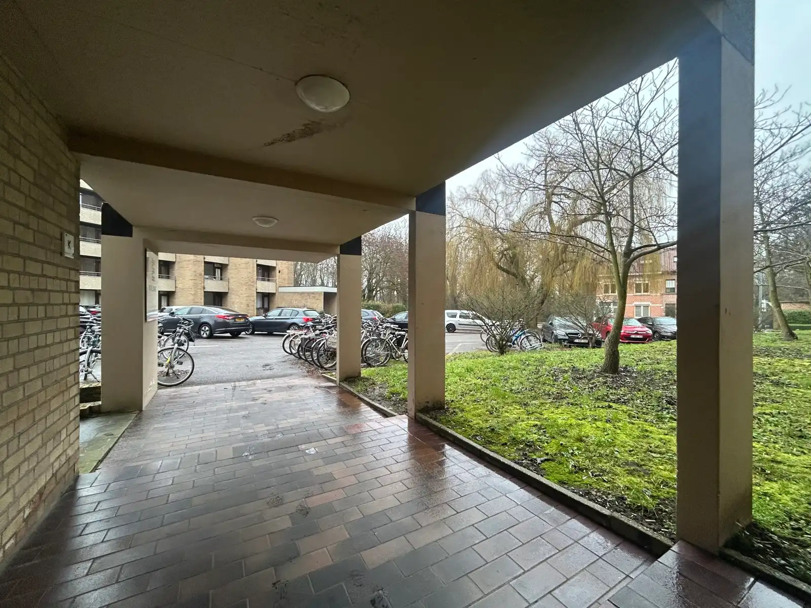 Eenvoudig maar revolutionair studeren foto 7