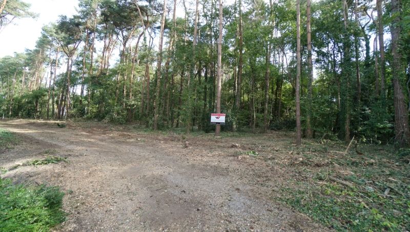 Residentieel gelegen bouwgrond van 31 are met 37 are bosgrond nabij golf- en meerdomein foto 2