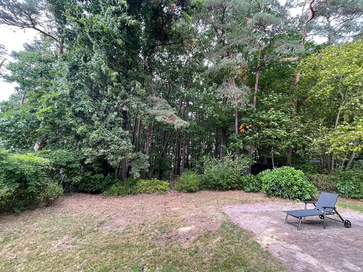 Idyllische plek 3530m² foto 24