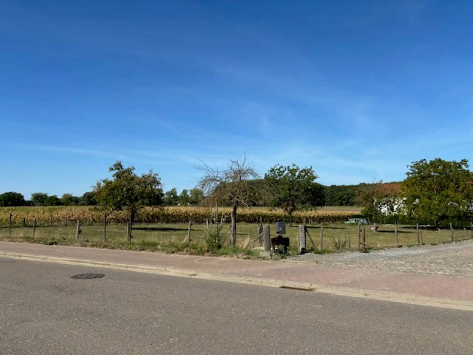 Vier bouwgronden HOB te Hoeleden (Kortenaken) foto 2