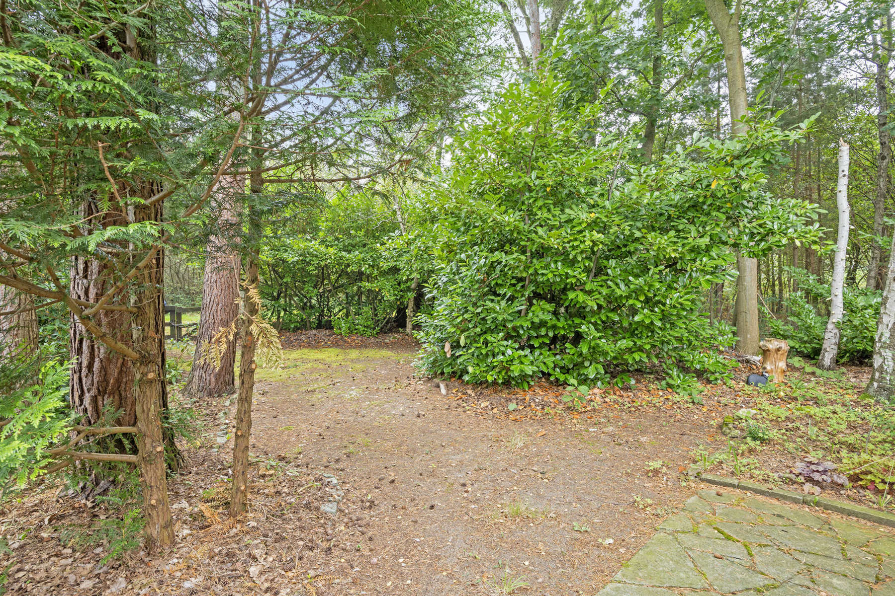 Genieten van eenvoud in een groen kader foto 21