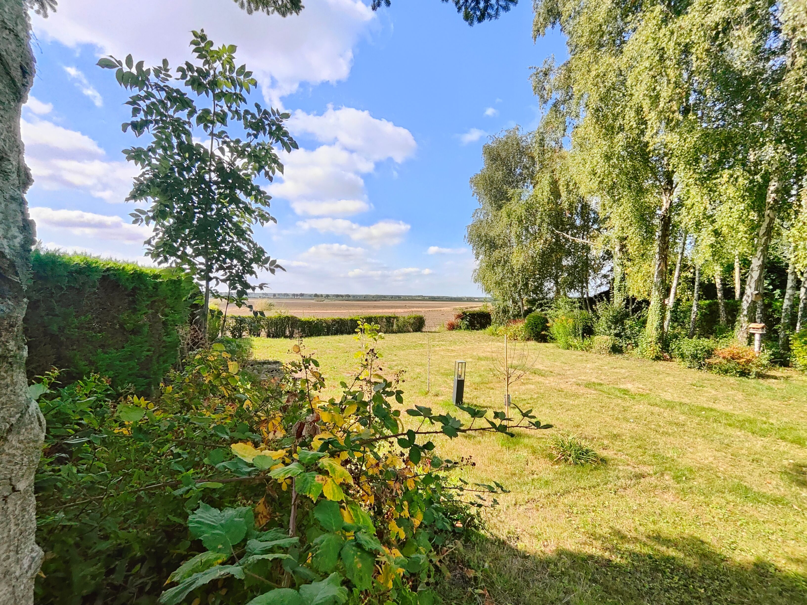 Volledig gerenoveerde VILLA op de grens met Knokke  (NL) ! Deze moet je in het echt komen zien! foto 3