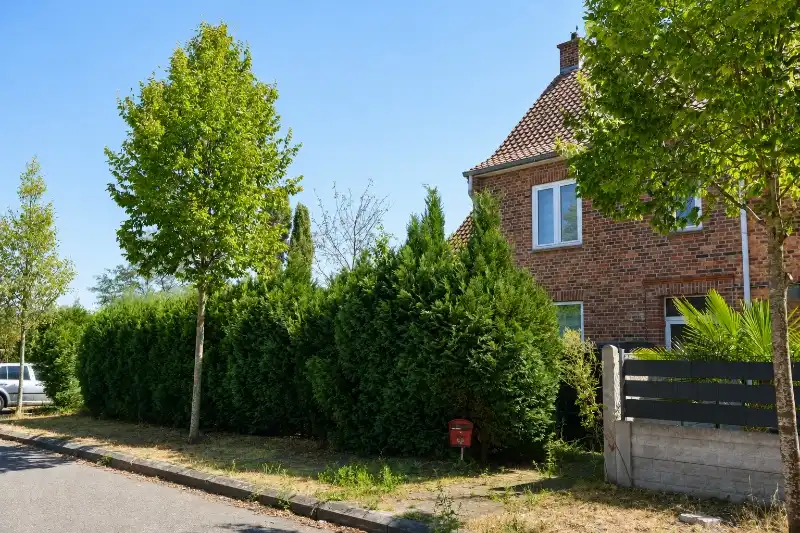 Woning met 4 slaapkamers en garage foto 3