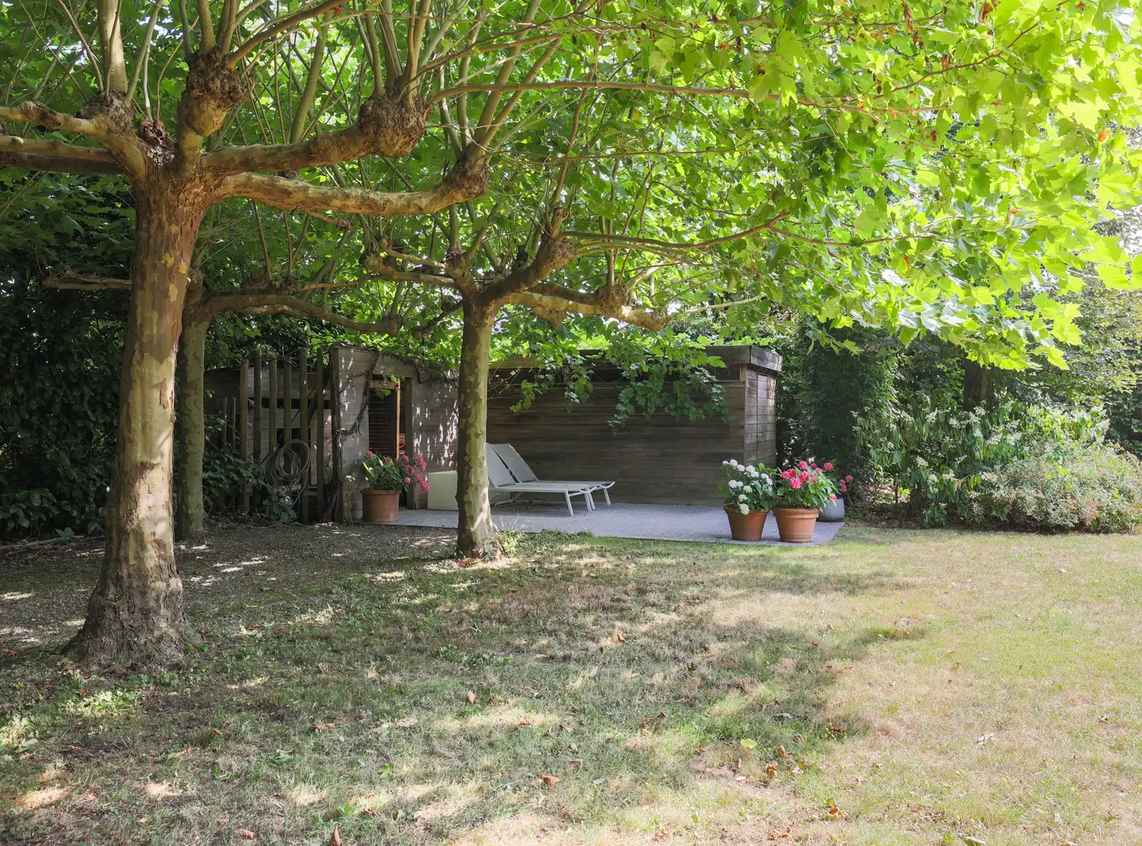 Een warme thuis, omringd door groen foto 24