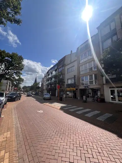 Ruim duplexappartement met groot zonneterras in hartje Wenduine foto 26