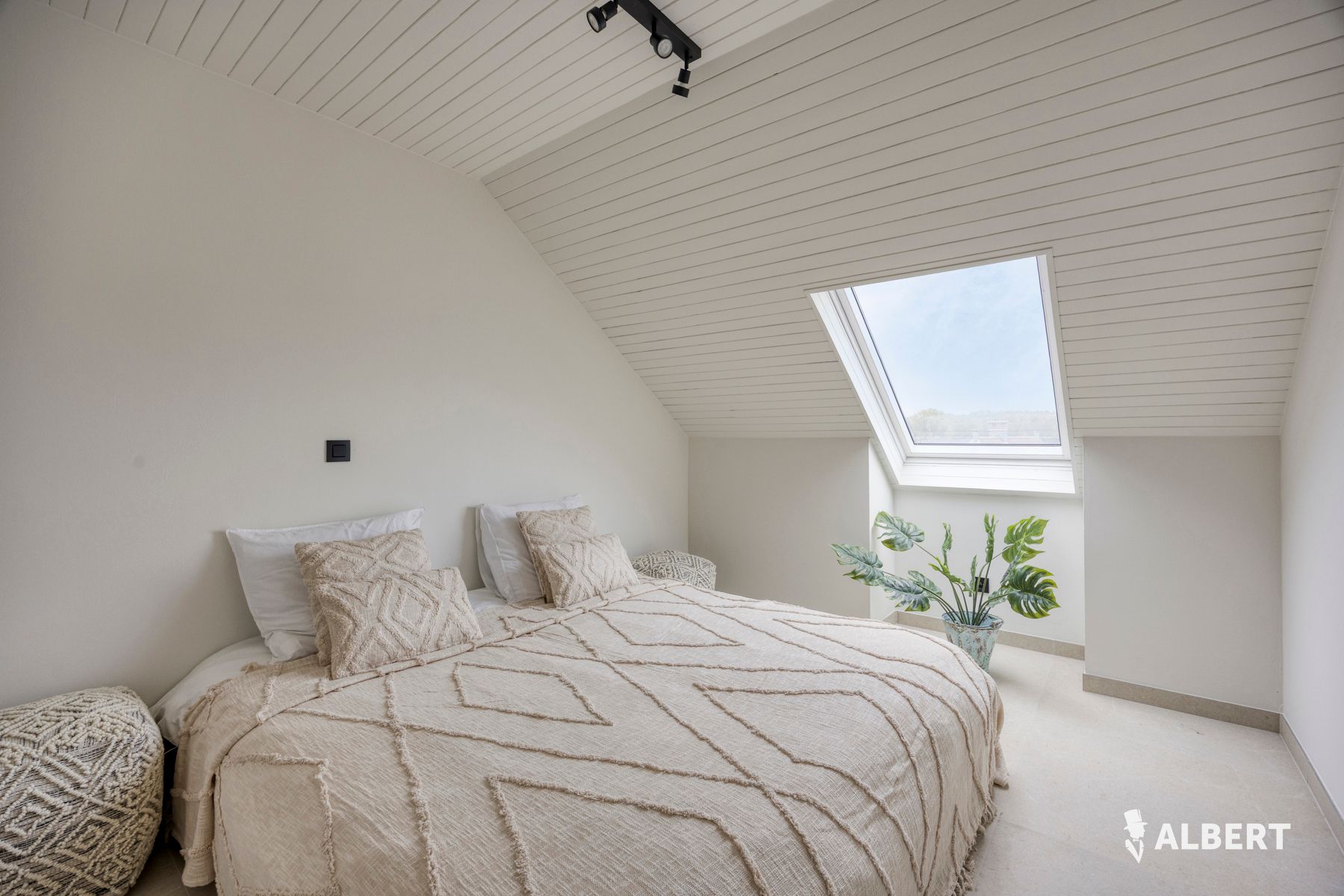 Gerenoveerde studio in dorpskern van Denderwindeke foto 8