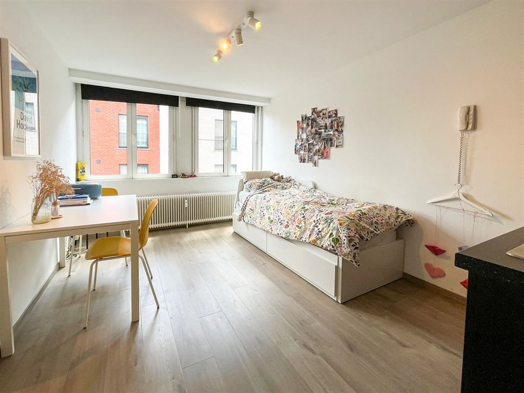 Recent gerenoveerde studio in Leuven-centrum! foto 3