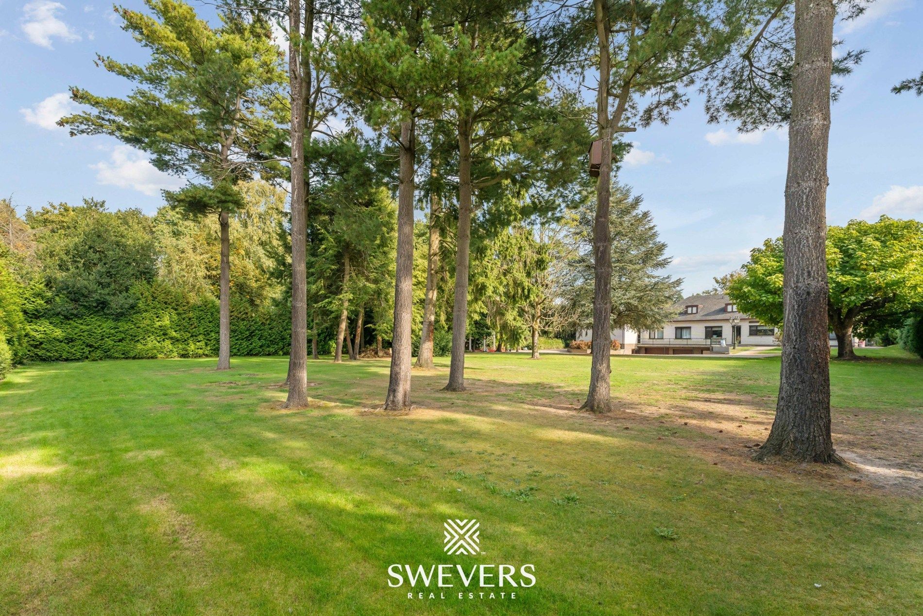 Uitzonderlijke ruime villa op 39a 89ca te Houthalen-Helchteren foto 4