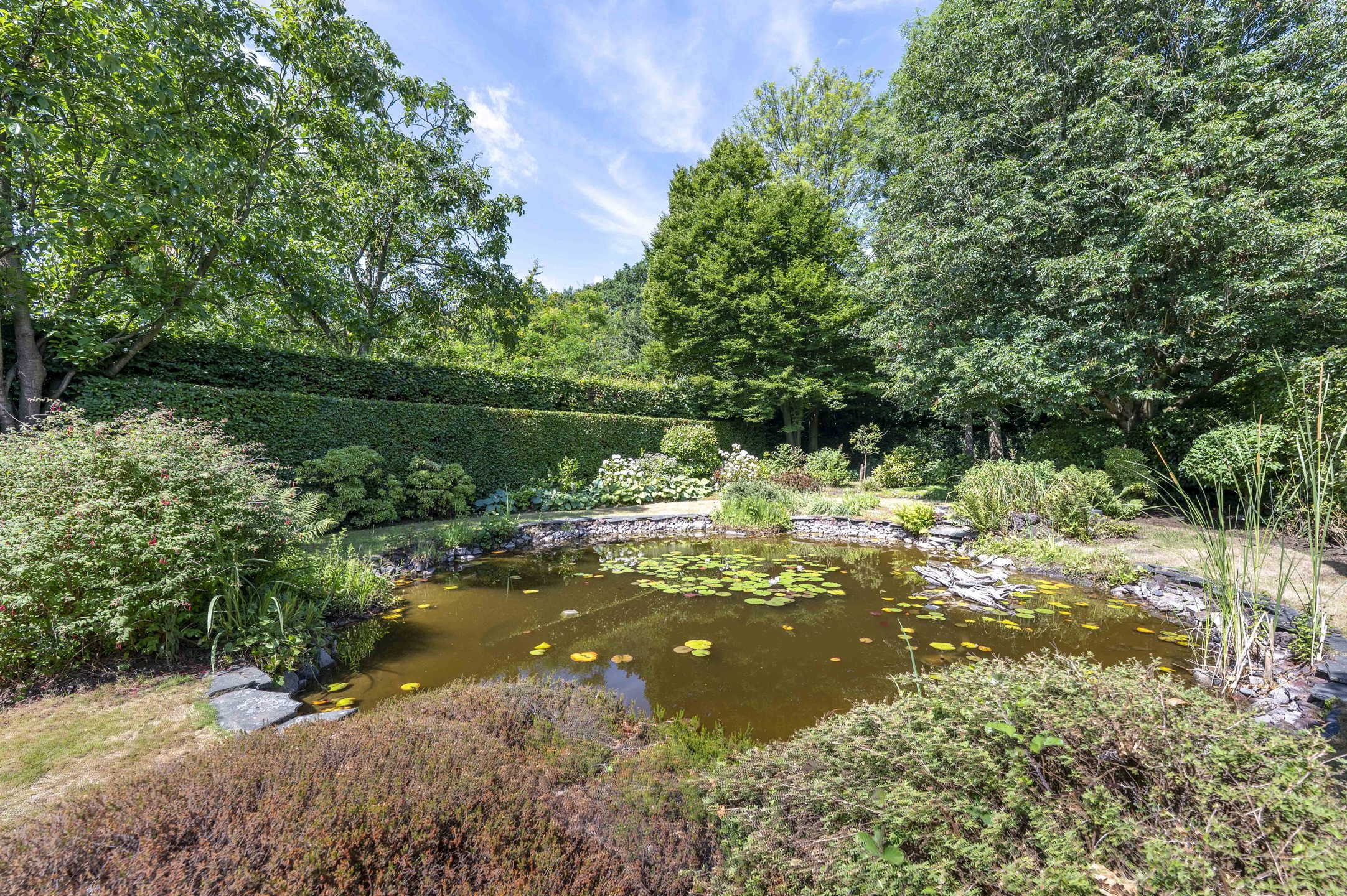 Unieke villa met karakter en potentieel in Elsdonk – Wilrijk foto 2