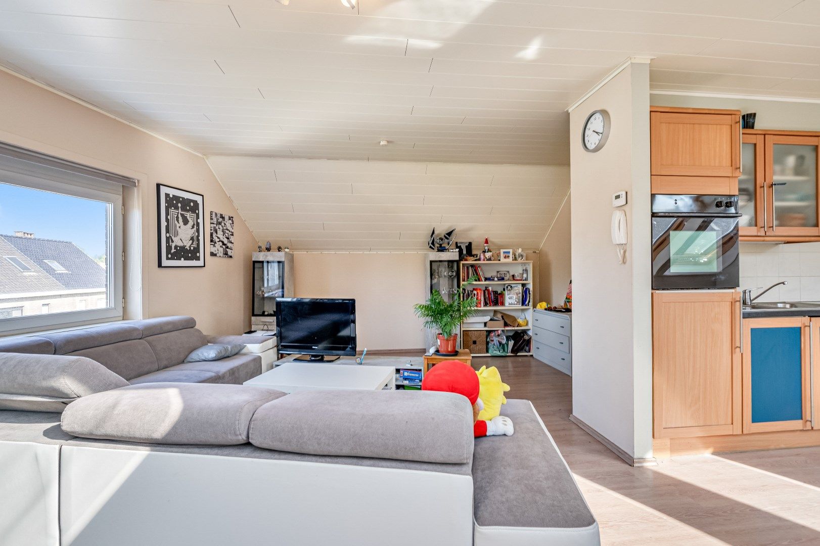 Charmant en lichtrijk dakappartement in Gent, vlak bij natuurreservaat Bourgoyen-Ossemeersen foto 6