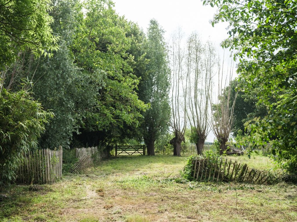 Dikkelvenne – Terrein van 2.179 m² met op heden nog een te renoveren hoeve, omgeven door groen en weides. foto 14