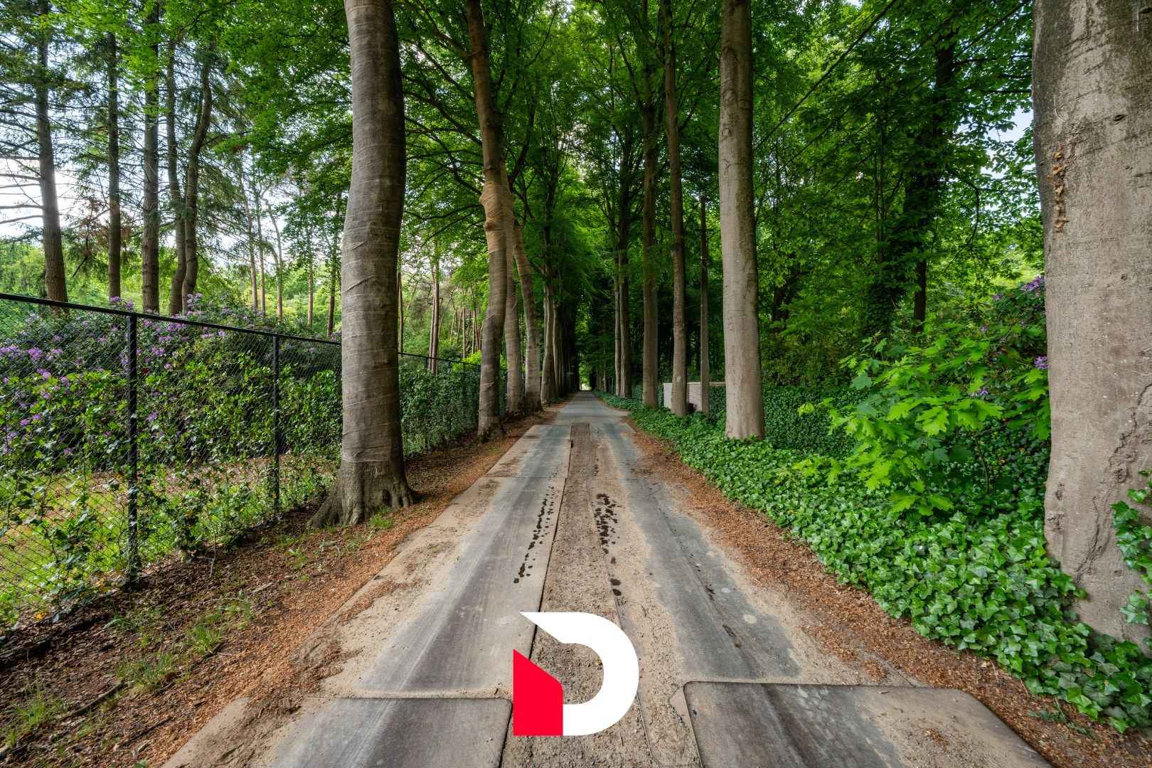 Uniek eigendom in de bossen van Hertsberge foto 37