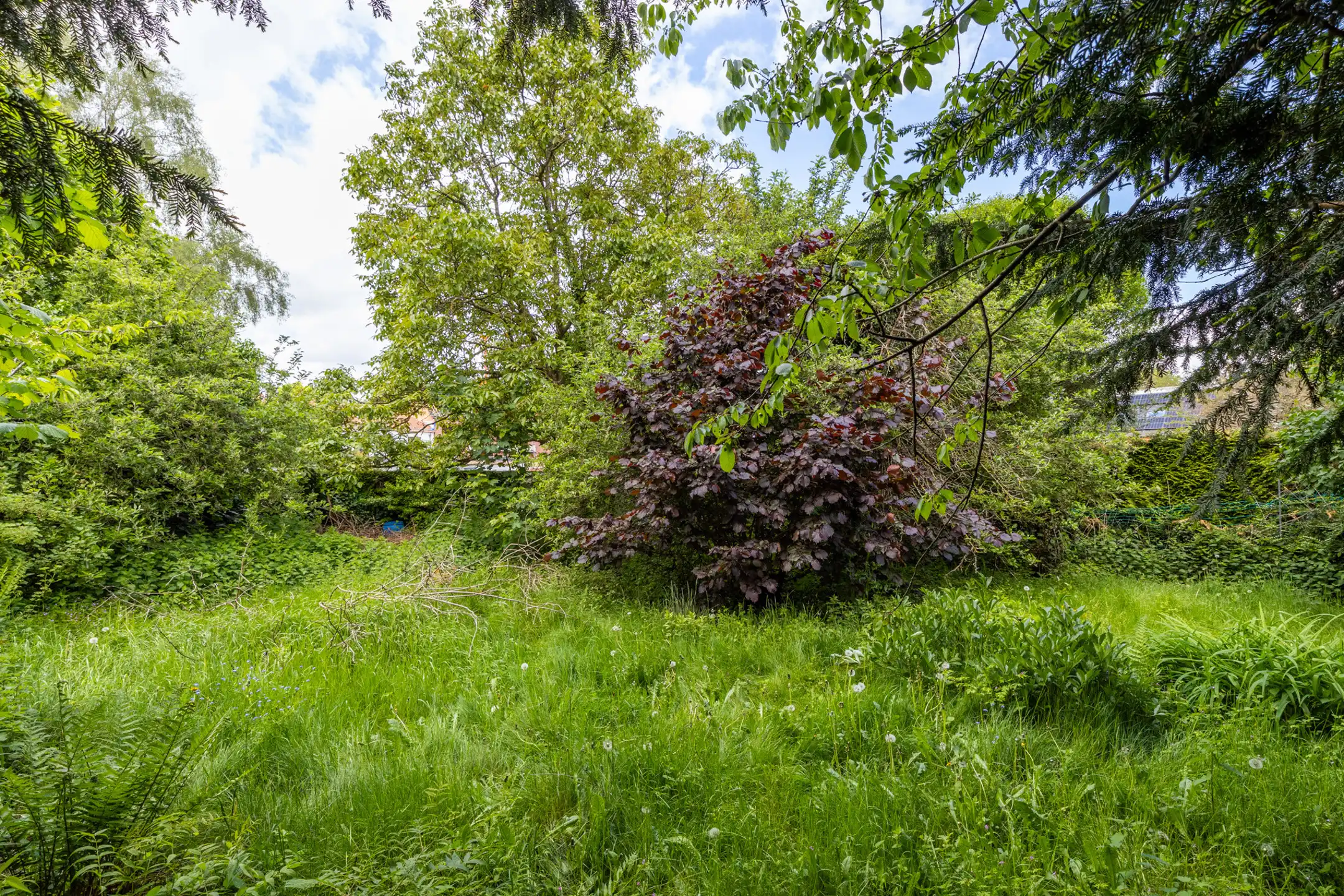Huis te koop foto 25