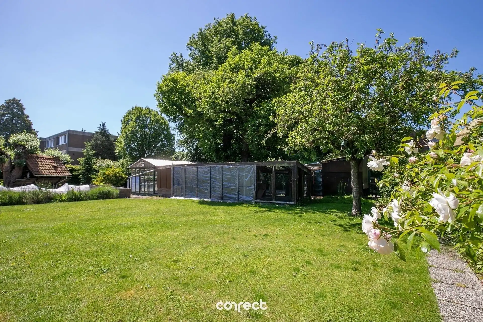 Op te frissen woning op ruim perceel van 857 m². foto 16