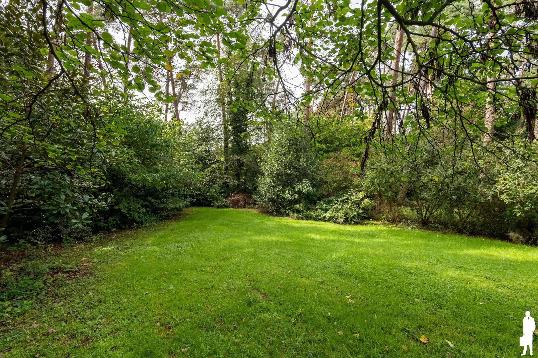 Uitzonderlijk perceel van 8.300 m² met af te breken woning foto 9