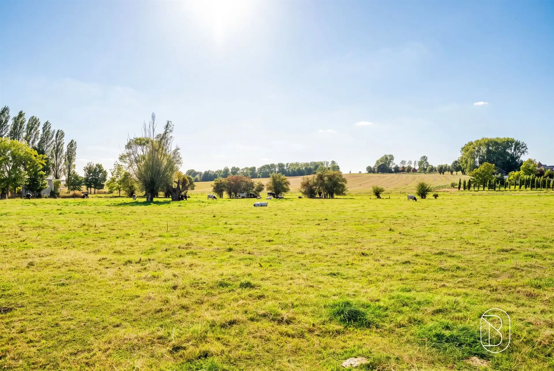 Uniek gelegen (af te breken) hoeve op maar liefst 8.282 m² foto 17