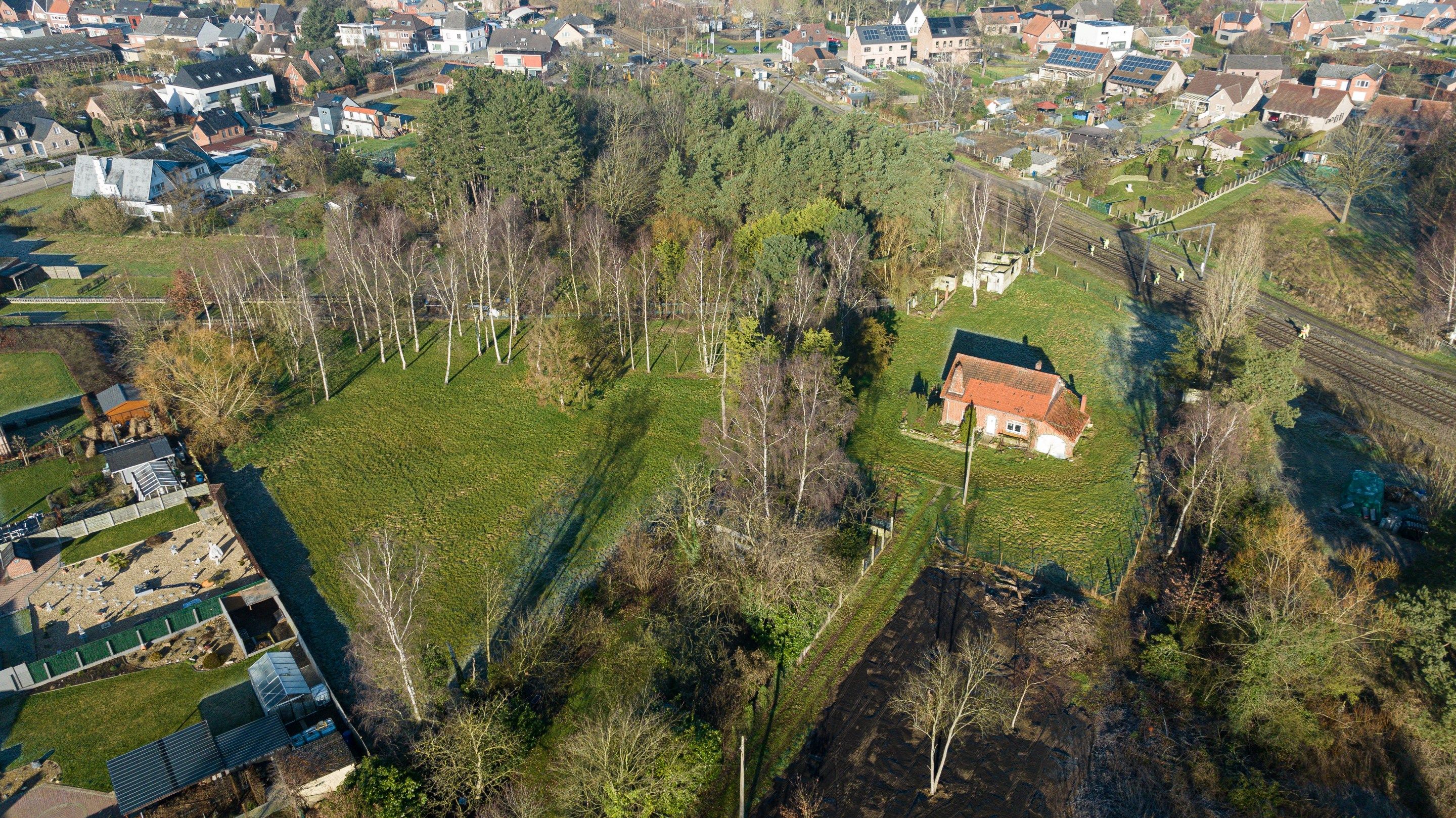 Goed gelegen te renoveren woonhuis op een perceel van 6517m2 te Halen foto {{pictureIndex}}