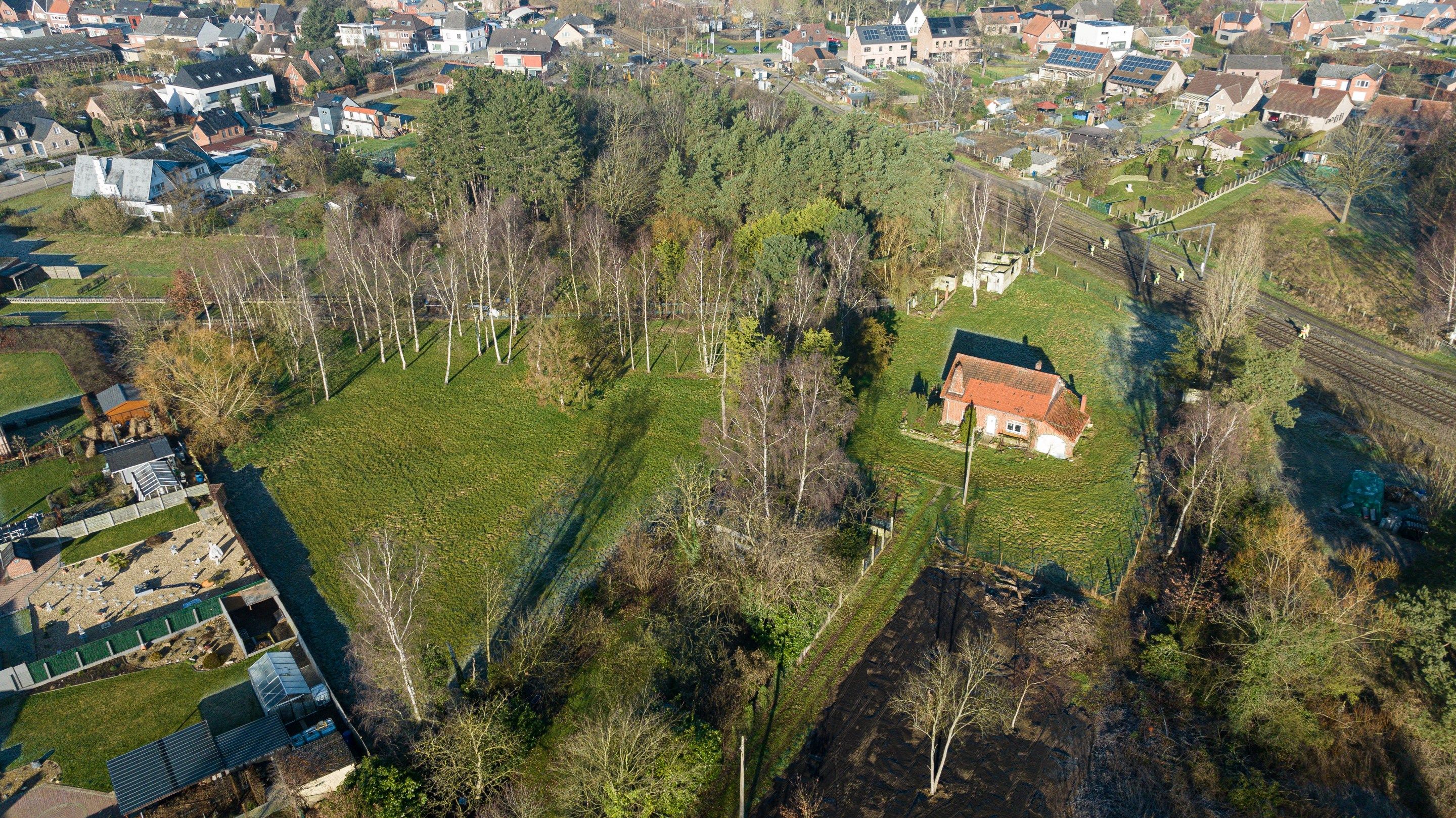 Goed gelegen te renoveren woonhuis op een perceel van 6517m2 te Halen foto 1