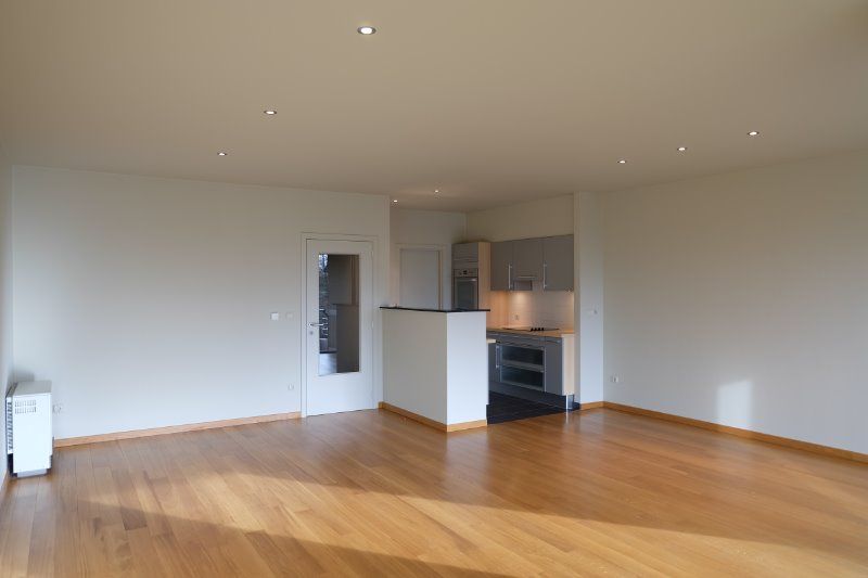 RUSTIG GELEGEN 2- SLAAPKAMERAPPARTEMENT MET TERRAS EN GARAGE foto 8