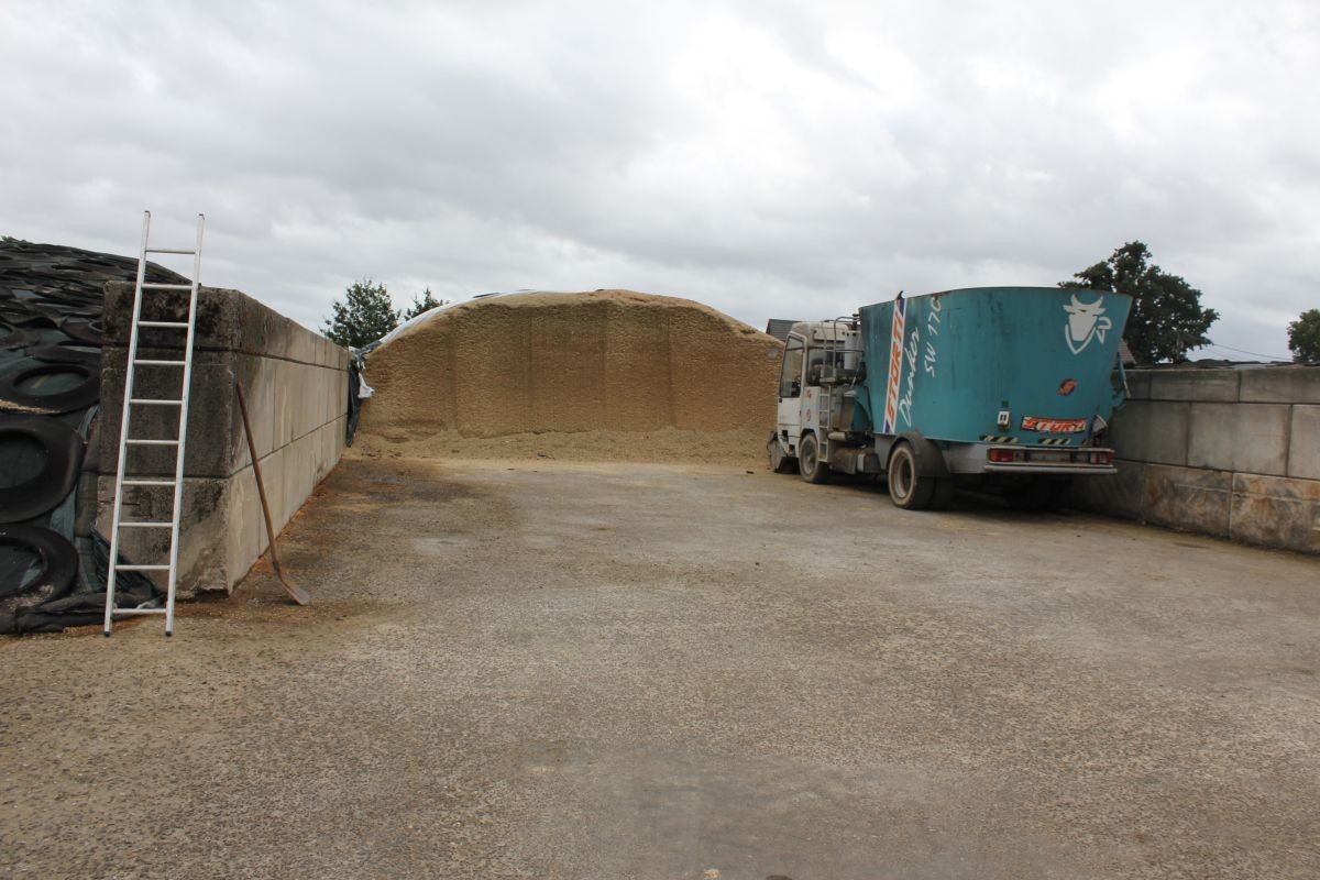 Melkveebedrijf met 38,70 ha grond te koop te Bocholt foto 21