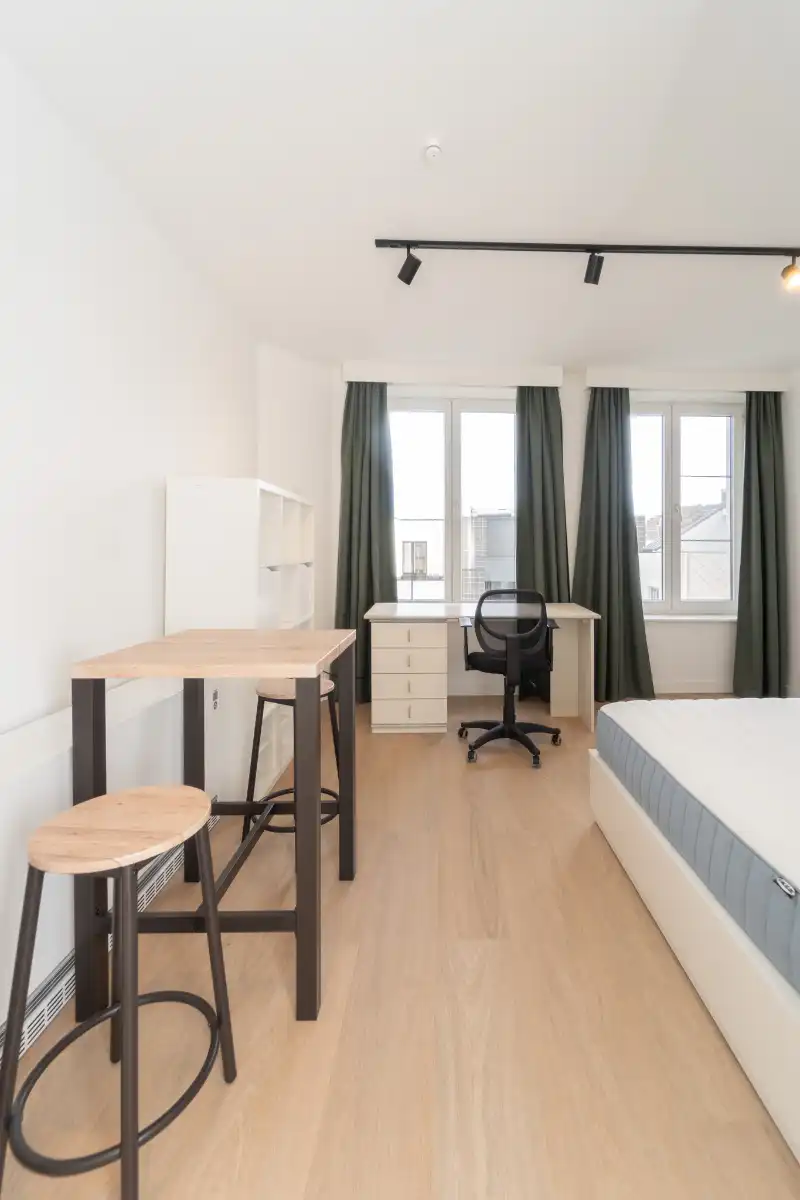Gerenoveerde studio op zeer centrale ligging in hartje Gent foto 9