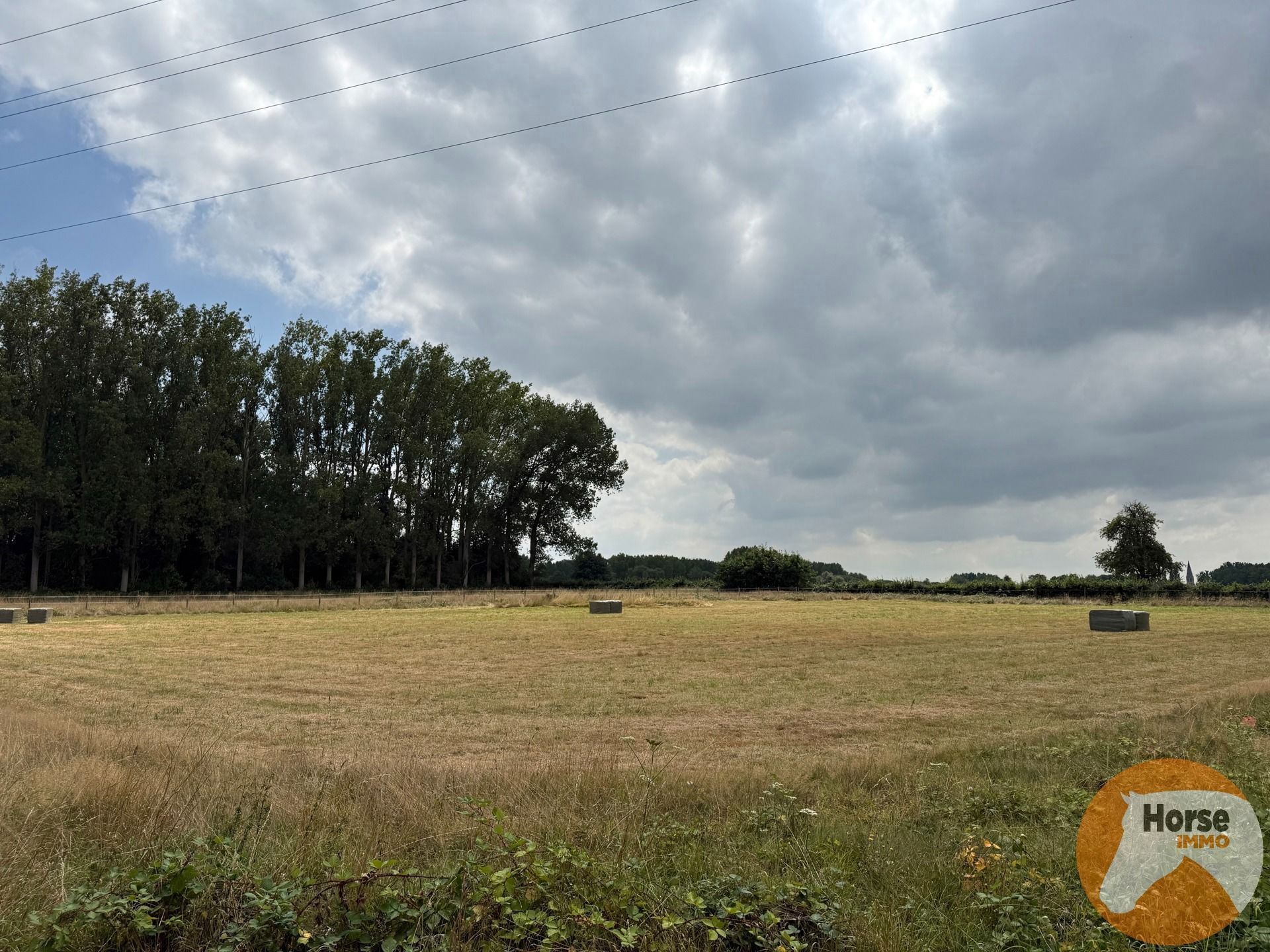 ROOSDAAL - Goed bereikbare weide op +- 1ha7a foto {{pictureIndex}}