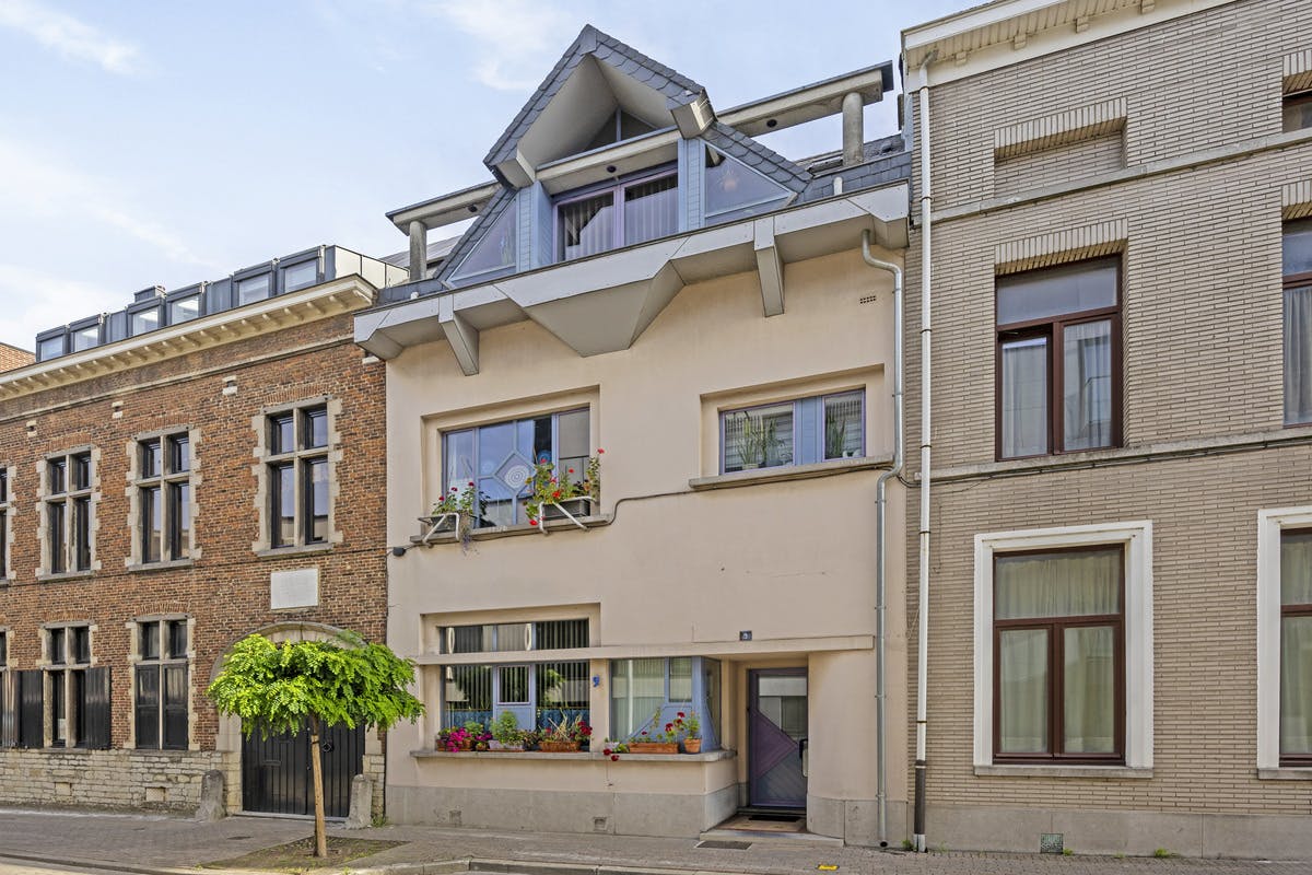 Charmant en ruim huis met 2 garageboxen in hartje Vilvoorde foto 30