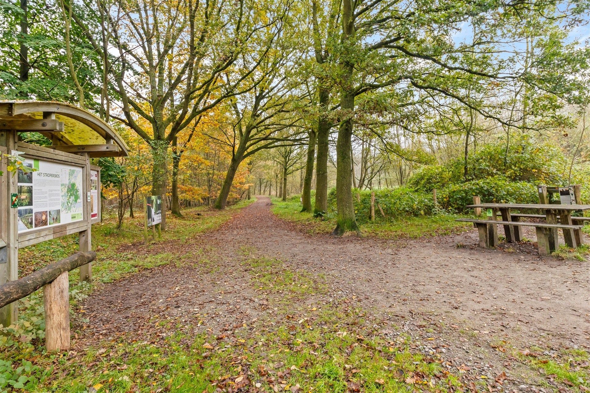 ruim en goed verzorgde woning met grote veranda  foto 21