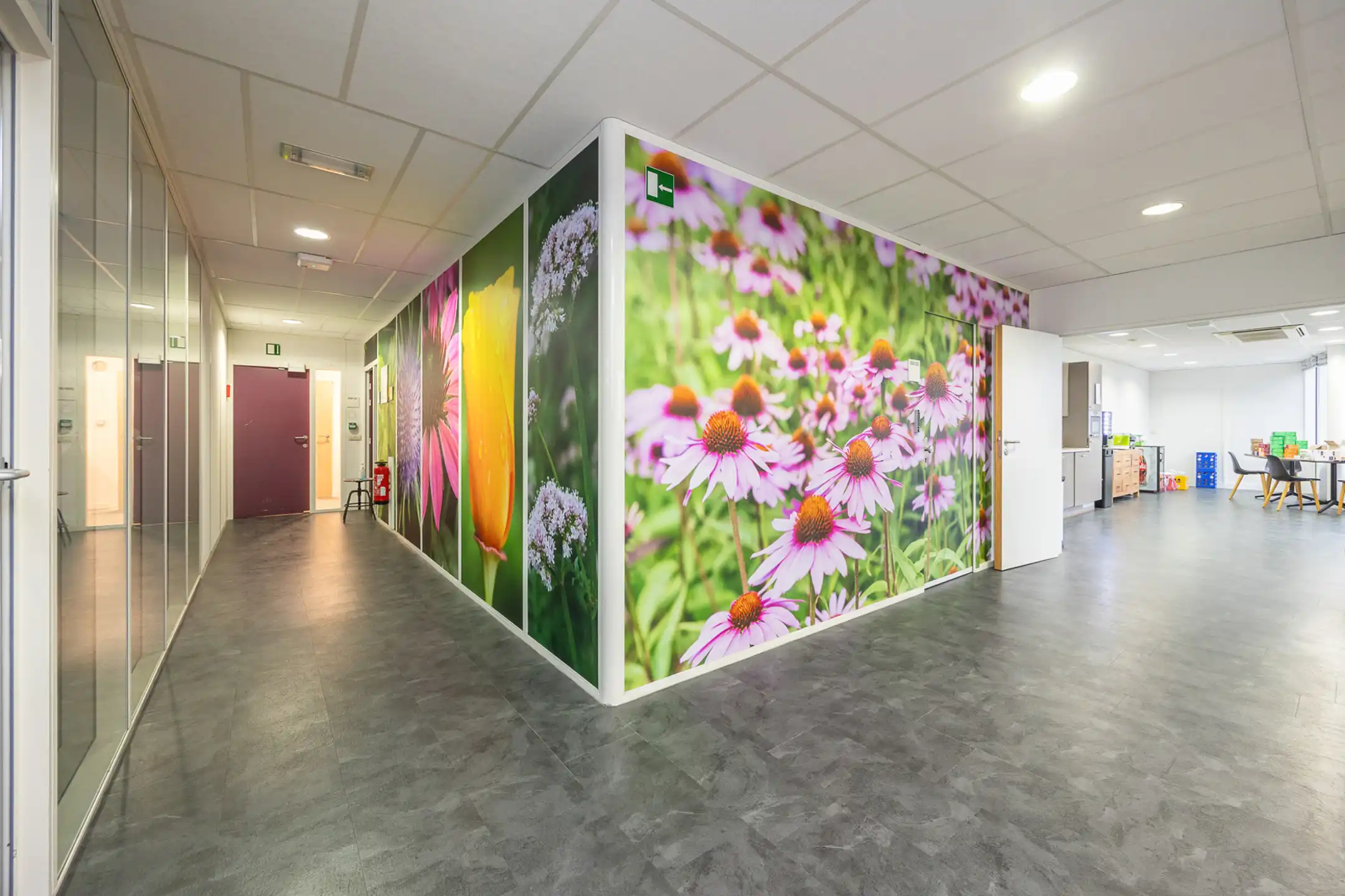 Moderne kantoorruimte in West Port Campus (475 m²) foto 18