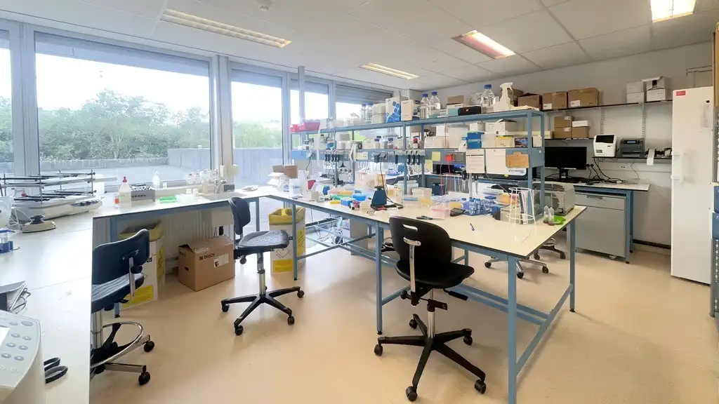 Kantoor/labo met klein magazijn te huur in Technologiepark-Zwijnaarde foto 7