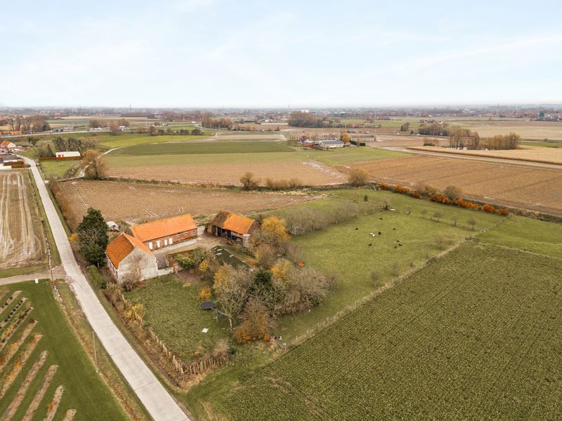 Hoofdfoto van de publicatie: Hoeve op 2,39 ha te Geluwe