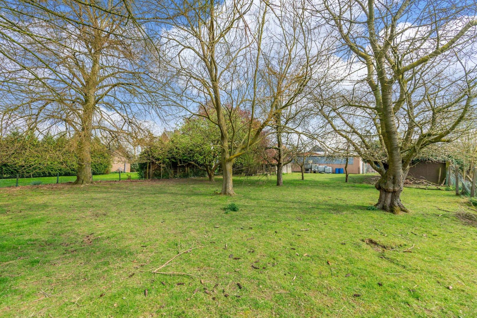 GROOT BEDRIJFSPAND MET RUIME WONING OP PERCEEL VAN 48A foto 29