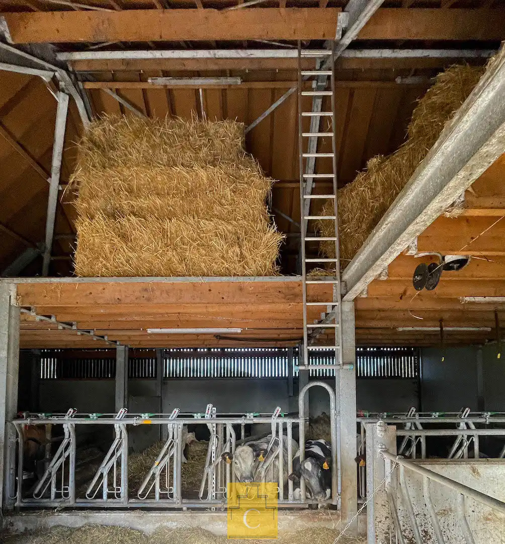 Boerderij met nieuwbouwloods (+400M2) en woning op 11.776 m² foto 20