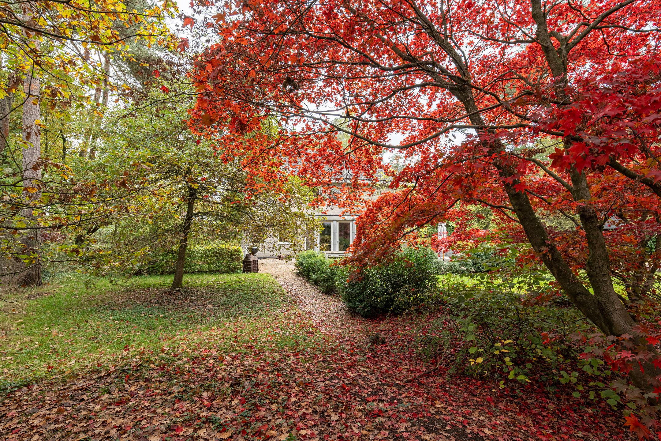 Woning met zwembad op zuidgericht perceel van ca. 2145 m² foto 25