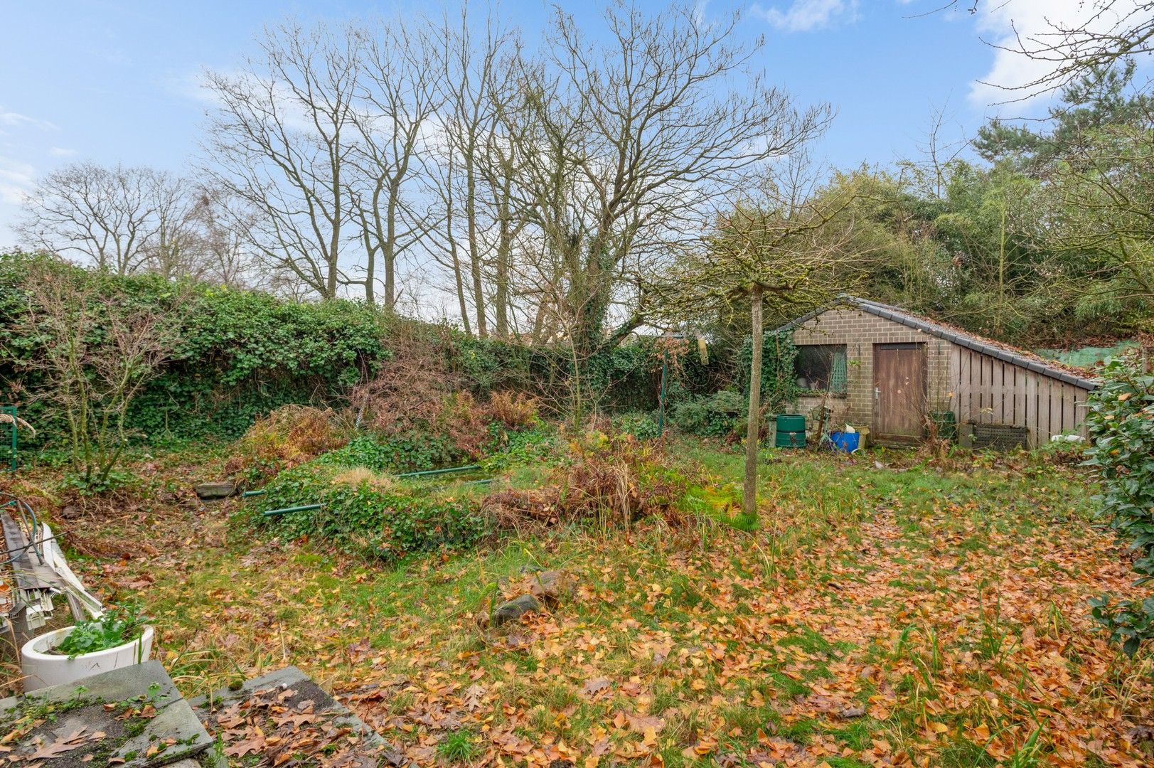 Gelijkvloerse woning te renoveren met 3 slaapkamers foto 20