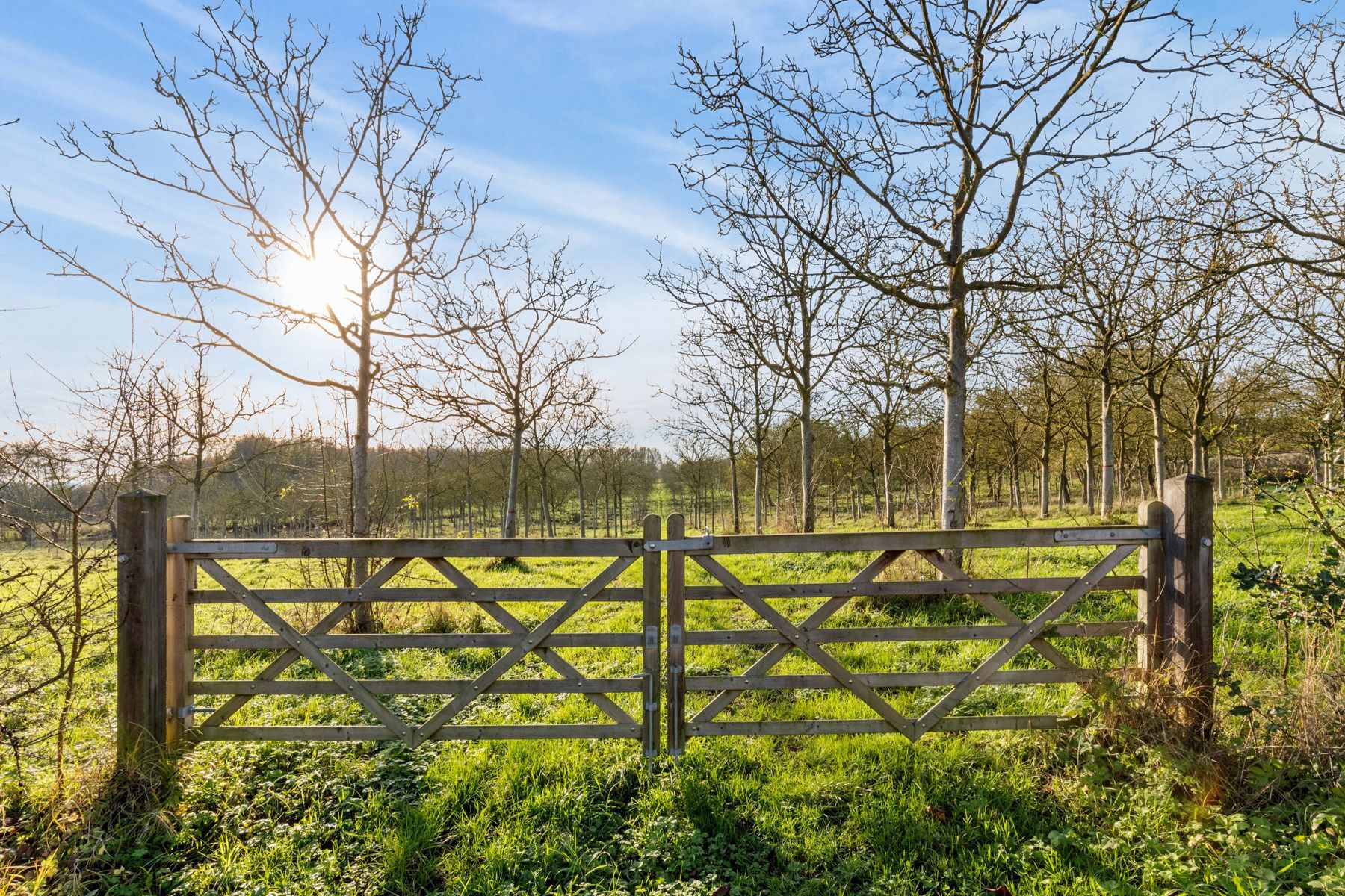 Uniek perceel grond mét vergunning aan het Tiegembos -900 m² foto 8