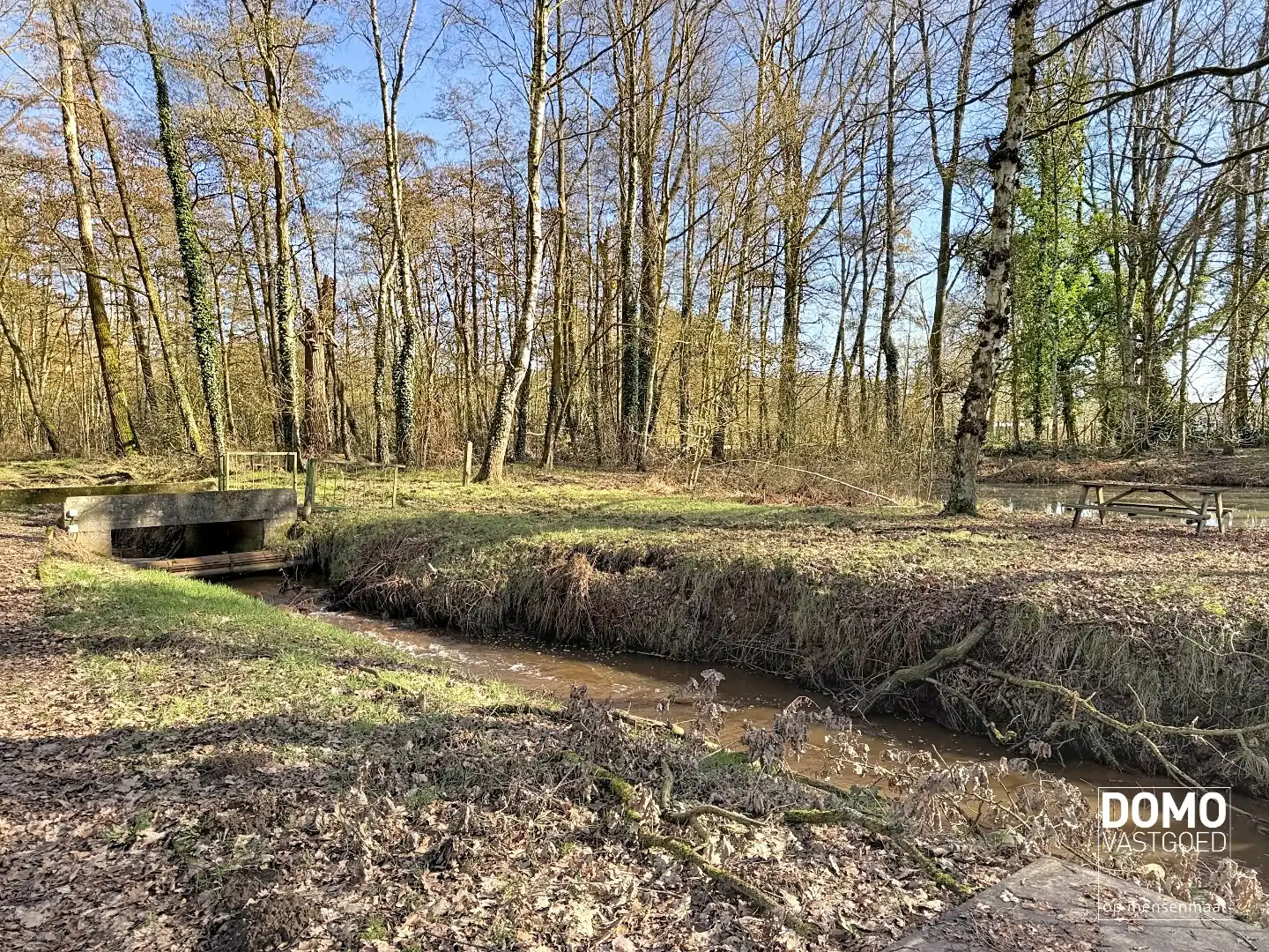 Exclusief wonen midden in de natuur – rust, ruimte. foto 6